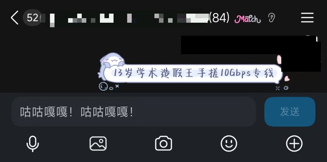 QQ 群（有 52 位成员 / LV48 群活跃等级）的群标语横幅 ——"13 岁学术造假王 手搓 10Gbps 专线"。群左上角账号名脱敏